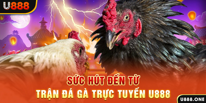 lucky8 đá gà trực tiếp c1