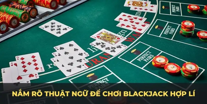 lucky8 c1 gà chọi