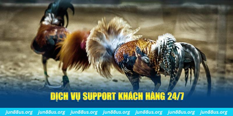 lucky8 ÁT CHỦ BÀI GIÀNH LẤY ZHUANG NIUNIU ( XEM 4 LÁ )