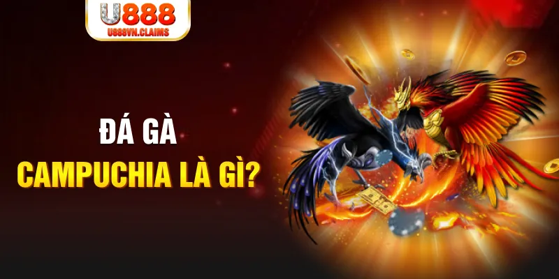 lucky8 bắn cá vàng h5