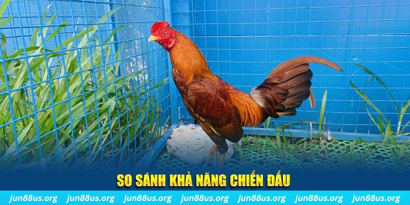 lucky8 CQ9 Điện Tử