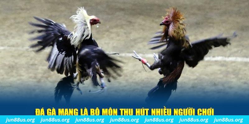 lucky8 bắn cá au88