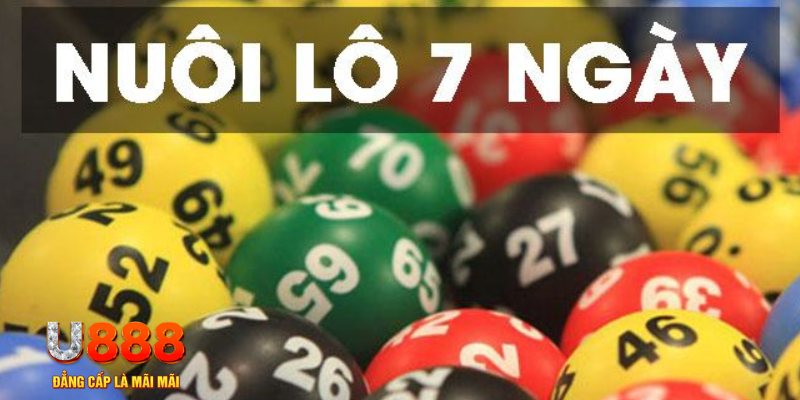 lucky8 what are slot machines