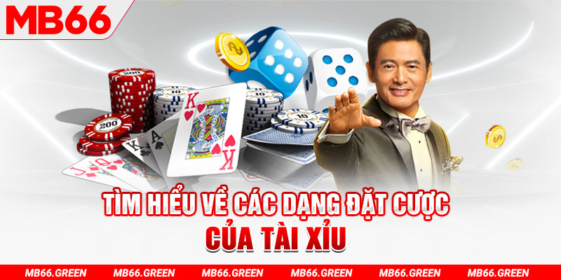 lucky8 what is a virtual casino