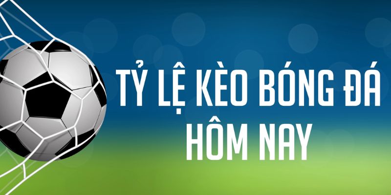 lucky8 gà chọi c1 mới nhất