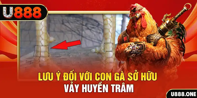 lucky8 kết quả xổ số miền nam hôm nay