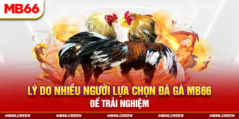 lucky8 xổ số miền bắc thứ bảy hàng tuần
