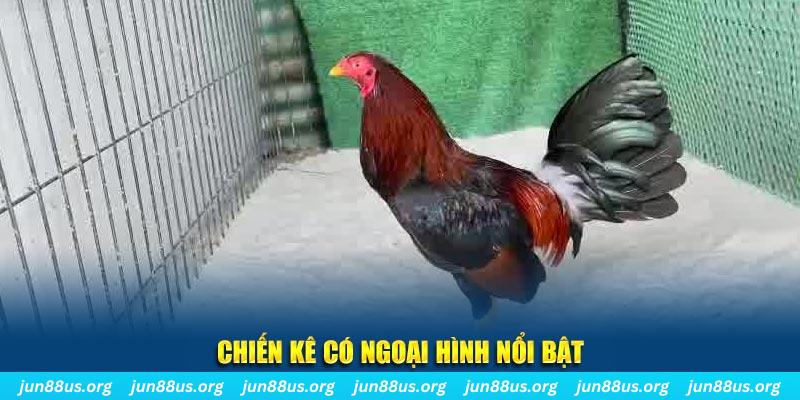 lucky8 game nổ hũ là gì