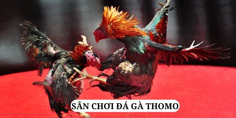 lucky8 trực tiếp xổ số miền bắc